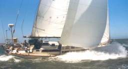TransPac-transpac2006-swesterly[1].jpg